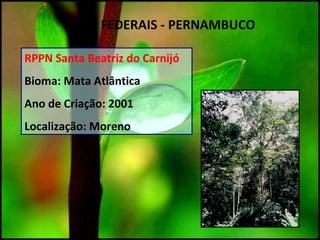 RPPN Santa Beatriz do Carnijó
Bioma: Mata Atlântica
Ano de Criação: 2001
Localização: Moreno
UC`S FEDERAIS - PERNAMBUCO
 