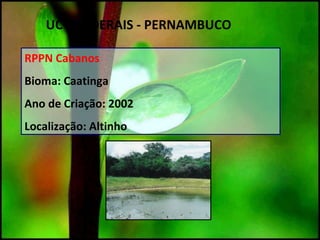 RPPN Cabanos
Bioma: Caatinga
Ano de Criação: 2002
Localização: Altinho
UC`S FEDERAIS - PERNAMBUCO
 