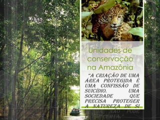Unidades de
conservação
na Amazônia
“A criação de uma
área protegida é
uma confissão de
suicídio. Uma
sociedade que
precisa proteger
a natureza de si
mesma não pode
estar certa.”
 