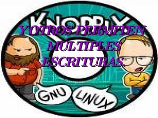 Y OTROS PERMITEN MÚLTIPLES ESCRITURAS.