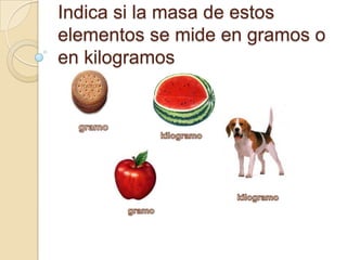 Indica si la masa de estos elementos se mide en gramos o en kilogramosgramokilogramokilogramogramo