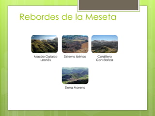 Rebordes de la Meseta
Macizo Galaico
Leonés
Sistema Ibérico Cordillera
Cantábrica
Sierra Morena
 