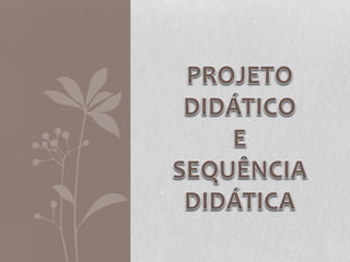 Unidade seis