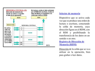 Selector de memoria 
Dispositivo que se activa cada 
vez que se produce una orden de 
lectura o escritura, conectando 
la celda de memoria, cuya 
dirección figura en el RDM, con 
el RIM y posibilitando la 
transferencia de los datos en un 
sentido o en otro. 
Registro de Dirección de 
Memoria (RDM) 
Dirección de la celda que se va a 
utilizar en la operación, bien 
para grabar o leer datos. 
 