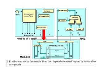 2. El selector extrae de la memoria dicho dato depositándolo en el registro de intercambio 
de memoria. 
 