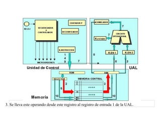 3. Se lleva este operando desde este registro al registro de entrada 1 de la UAL. 
 