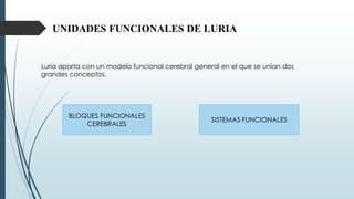 UNIDADES FUNCIONALES DE LURIA
Luria aporta con un modelo funcional cerebral general en el que se unían dos
grandes conceptos.
BLOQUES FUNCIONALES
CEREBRALES
SISTEMAS FUNCIONALES
 