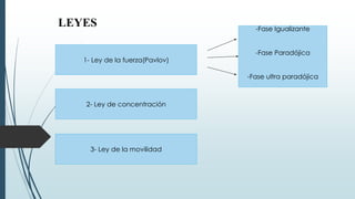 LEYES
1- Ley de la fuerza(Pavlov)
2- Ley de concentración
3- Ley de la movilidad
-Fase Igualizante
-Fase Paradójica
-Fase ultra paradójica
 