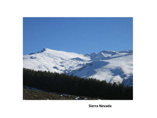 Sierra Nevada 