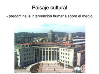 Paisaje cultural
- predomina la intervención humana sobre el medio.
 