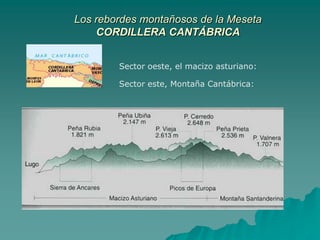 Los rebordes montañosos de la MesetaCORDILLERA CANTÁBRICASector oeste, el macizo asturiano:Sector este, Montaña Cantábrica:Montañas destacadas: