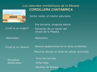 Los rebordes montañosos de la MesetaCORDILLERA CANTÁBRICASector oeste, el macizo asturiano:Era terciaria, orogenia alpina.Elevación de un sector del zócalo de la Meseta.¿Cuál es su origen?Materiales:PaleozoicoRelieve apalachense en la zona occidental.¿Cuál es su relieve?Mayores alturas en área de calizas primariasTorre de CerredoPeña ViejaNaranjo de BulnesMontañas destacadas: