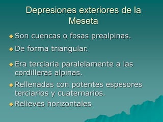 Depresiones exteriores de la MesetaSon cuencas o fosas prealpinas.De forma triangular.