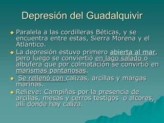 Rellenadas con potentes espesores terciarios y cuaternarios.