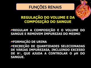 FUNÇÕES RENAIS
REGULAÇÃO DO VOLUME E DA
COMPOSIÇÃO DO SANGUE
REGULAM A COMPOSIÇÃO E O VOLUME DO
SANGUE E REMOVEM IMPUREZAS DO MESMO
FORMAÇÃO DE URINA
EXCREÇÃO DE QUANTIDADES SELECIONADAS
DE VÁRIAS IMPUREZASA, INCLUINDO EXCESSO
DE H+
, QUE AJUDA A CONTROLAR O pH DO
SANGUE.
 