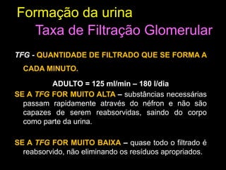 Formação da urina
TFG - QUANTIDADE DE FILTRADO QUE SE FORMA A
CADA MINUTO.
ADULTO = 125 ml/min – 180 l/dia
SE A TFG FOR MUITO ALTA – substâncias necessárias
passam rapidamente através do néfron e não são
capazes de serem reabsorvidas, saindo do corpo
como parte da urina.
SE A TFG FOR MUITO BAIXA – quase todo o filtrado é
reabsorvido, não eliminando os resíduos apropriados.
Taxa de Filtração Glomerular
 