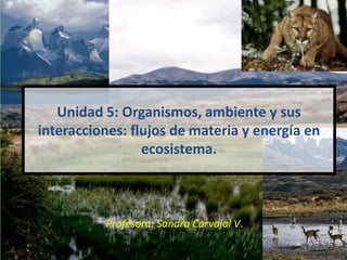 Unidad 5: Organismos, ambiente y sus
interacciones: flujos de materia y energía en
                 ecosistema.



          Profesora: Sandra Carvajal V.
 