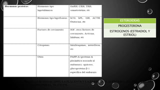 ESTEROIDEAS
PROGESTERONA
ESTROGENOS (ESTRADIOL Y
ESTRIOL)
Manuel Purizaca-Benites. ( 6 de enero de 2009). LA PLACENTA Y LA BARRERA PLACENTARIA. REVISTA PERUANA
DE GINECOLOGÍA Y OBSTETRICIA, 54, 270-278.
 