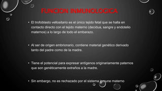 FUNCION INMUNOLOGICA
• El trofoblasto vellositario es el único tejido fetal que se halla en
contacto directo con el tejido materno (decidua, sangre y endotelio
maternos) a lo largo de todo el embarazo.
• Al ser de origen embrionario, contiene material genético derivado
tanto del padre como de la madre.
• Tiene el potencial para expresar antígenos originariamente paternos
que son genéticamente extraños a la madre.
• Sin embargo, no es rechazado por el sistema inmune materno
 