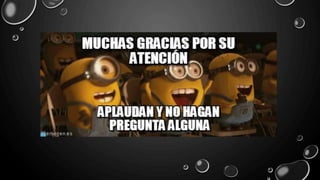 Unidad funcional feto placentaria