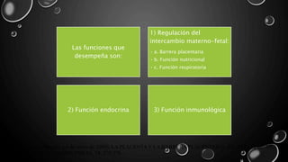 Las funciones que
desempeña son:
1) Regulación del
intercambio materno-fetal:
• a. Barrera placentaria
• b. Función nutricional
• c. Función respiratoria
2) Función endocrina 3) Función inmunológica
Manuel Purizaca-Benites. ( 6 de enero de 2009). LA PLACENTA Y LA BARRERA PLACENTARIA. REVISTA PERUANA
DE GINECOLOGÍA Y OBSTETRICIA, 54, 270-278.
 