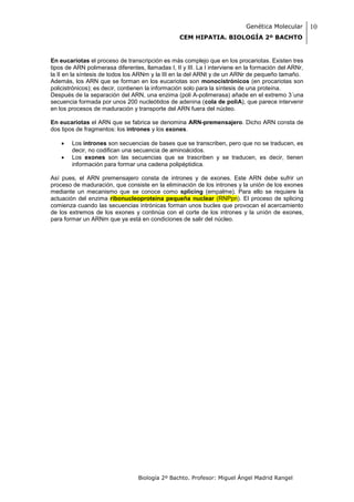 Genética Molecular        10
                                                  CEM HIPATIA. BIOLOGÍA 2º BACHTO


En eucariotas el proceso de transcripción es más complejo que en los procariotas. Existen tres
tipos de ARN polimerasa diferentes, llamadas I, II y III. La I interviene en la formación del ARNr,
la II en la síntesis de todos los ARNm y la III en la del ARNt y de un ARNr de pequeño tamaño.
Además, los ARN que se forman en los eucariotas son monocistrónicos (en procariotas son
policistrónicos); es decir, contienen la información solo para la síntesis de una proteína.
Después de la separación del ARN, una enzima (poli A-polimerasa) añade en el extremo 3´una
secuencia formada por unos 200 nucleótidos de adenina (cola de poliA), que parece intervenir
en los procesos de maduración y transporte del ARN fuera del núcleo.

En eucariotas el ARN que se fabrica se denomina ARN-premensajero. Dicho ARN consta de
dos tipos de fragmentos: los intrones y los exones.

       Los intrones son secuencias de bases que se transcriben, pero que no se traducen, es
        decir, no codifican una secuencia de aminoácidos.
       Los exones son las secuencias que se trascriben y se traducen, es decir, tienen
        información para formar una cadena polipéptidica.

Así pues, el ARN premensajero consta de intrones y de exones. Este ARN debe sufrir un
proceso de maduración, que consiste en la eliminación de los intrones y la unión de los exones
mediante un mecanismo que se conoce como splicing (empalme). Para ello se requiere la
actuación del enzima ribonucleoproteína pequeña nuclear (RNPpn). El proceso de splicing
comienza cuando las secuencias intrónicas forman unos bucles que provocan el acercamiento
de los extremos de los exones y continúa con el corte de los intrones y la unión de exones,
para formar un ARNm que ya está en condiciones de salir del núcleo.




                                  Biología 2º Bachto. Profesor: Miguel Ángel Madrid Rangel
 
