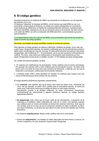 Genética Molecular      11
                                                 CEM HIPATIA. BIOLOGÍA 2º BACHTO


6. El código genético
Durante la traducción, la molécula de ARNm va avanzando en el ribosoma y se van leyendo
los codones uno a uno.
El ribosoma “interpreta” el mensaje del ARNm, de tal manera que cada ARNt se une a un
aminoácido, lo lleva hasta el ribosoma y lo añade a la cadena polipeptídica en crecimiento.
Cada molécula de ARNt tiene un triplete de nucleótidos llamado anticodón, complementario
del codón del ARNm. Además en uno de sus extremos porta un aminoácido. De esta manera,
si el codón del ARNm es UGG, el anticodón del ARNt será ACC, y el aminoácido que porta
será el triptófano.

La correspondencia entre los codones del ARNm y los aminoácidos que forman las proteínas
recibe el nombre de código genético.

Recuerda: Los tripletes de bases del ARNm reciben el nombre de codones.

Para descifrar el código genético se utilizaron diferentes hipótesis de trabajo. Como sólo hay
cuatro bases nitrogenadas distintas, las señales codificadas para los 20 aminoácidos proteicos
deben estar constituidas por más de una base. Si cada señal estuviese formada por dos bases
                                  2
nitrogenadas, sólo codificarían 4 = 16 aminoácidos, por lo que aún quedarían aminoácidos sin
codificar. Por tanto, cada señal que codifica para un aminoácido está constituido por tres
                                                          3
bases nitrogenadas consecutivas un triplete), es decir, 4 =64 tripletes de bases nitrogenadas.

Así, existen 64 codones posibles, de ellos:

 61 codones son codificadores de aminoácidos. Varios codifican para el mismo aminoácido.
 Por ejemplo, los codones UUA y UUG codifican para el aminoácido Leucina. El codón AUG
 actúa como una señal de inicio para que comience la traducción, y además una vez que la
 traducción a comenzado, codifica para el aminoácido metionina.
 3 codones (UAA, UAG y UGA, llamados sin sentido) no codifican para ninguno sino que
 marca el final del proceso de la síntesis de una proteína.

El código genético presenta las siguientes características:

   Es universal, esto significa que es el mismo para todos los seres vivos, incluyendo los
    virus. Así por ejemplo, el codón GCC codifica para el aminoácido alanina, en todos los
    seres vivos. Este hecho indica que el código ha tenido un solo origen evolutivo.
    Actualmente, gracias a la biología molecular, se están encontrando excepciones,
    concretamente las mitocondrias y algunos protozoos utiluizan un código genético
    ligeramente diferente.


   Es degenerado. Esto indica que la mayor parte de los aminoácidos, a excepción de la
    metionina y el triptófano, están codificados por más de un codón. Los distintos codones
    que codifican para un mismo aminoácido se denominan codones sinónimos. Esto supone
    una ventaja, pues en el caso de que se produzcan cambios en algún nucleótido, es decir,
    que haya mutaciones, no se tiene por qué alterar el orden de los aminoácidos que forman
    la proteína.

   No presenta imperfecciones. Ningún codón codifica más de un aminoácido.


   Carece de solapamiento. Los tripletes se hallan dispuestos de forma lineal y continua, sin
    comas ni espacios y sin que compartan ninguna base nitrogenada.




                                 Biología 2º Bachto. Profesor: Miguel Ángel Madrid Rangel
 