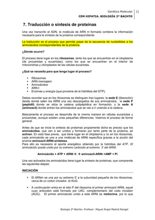 Genética Molecular   12
                                           CEM HIPATIA. BIOLOGÍA 2º BACHTO


7. Traducción o síntesis de proteínas
Una vez transcrito el ADN, la molécula de ARN m formada contiene la información
necesaria para la síntesis de la proteína correspondiente.

La traducción es el proceso que permite pasar de la secuencia de nucleótidos a los
aminoácidos correspondientes de la proteína.

¿Dónde ocurre?

El proceso tiene lugar en los ribosomas, tanto los que se encuentran en el citoplasma
(de procariotas y eucariotas), como los que se encuentran en el interior de
mitocondrias y cloroplastos de las células eucariotas.

¿Qué se necesita para que tenga lugar el proceso?

      Ribosomas
      ARN mensajero
      Aminoácidos
      ARN t
      Enzimas y energía (que proviene de la hidrólisis del GTP).

Debes recordar que en los ribosomas se distinguen tres lugares: la sede E (liberación)
desde donde salen los ARNt una vez descargados de sus aminoácidos, la sede P
(peptidil) donde se sitúa la cadena polipéptidica en formación, y la sede A
(aminoacil) donde entran los aminoácidos que se van a ir uniendo a la cadena.

Básicamente el proceso se desarrolla de la misma manera en células eucariotas y
procariotas, aunque existen unas pequeñas diferencias. Veamos el proceso de forma
general.

Antes de que se inicie la síntesis de proteínas propiamente dicha es preciso que los
aminoácidos, que van a ser unidos y formaran por tanto parte de la proteína, se
activen. En esta fase previa, que tiene lugar en el citoplasma y no en los ribosomas,
cada aminoácido se une a una molécula de ARNt específica gracias a la acción del
enzima aminoacil-ARNt-sintetasa.
Para ello es necesario el aporte energético obtenido por la hidrólisis del ATP. El
aminoácido queda unido por su extremo carboxilo al extremo 3’ del ARNt.

           Aminoácido + ATP + ARNt   aminoacil-ARNt +AMP + Pi

Una vez activados los aminoácidos tiene lugar la síntesis de proteínas, que comprende
las siguientes etapas:

INICIACIÓN

      El ARNm se une por su extremo 5’ a la subunidad pequeña de los ribosomas,
       cerca de un codon iniciador, el AUG.

      A continuación entra en el sitio P del ribosoma el primer aminoacil ARNt, aquel
       cuyo anticodon está formado por UAC, complementario del codo iniciador
       (AUG). El primer aminoácido unido a este ARNt es metionina, por lo que




                             Biología 2º Bachto. Profesor: Miguel Ángel Madrid Rangel
 