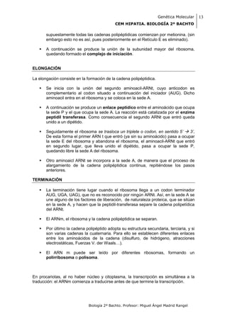 Genética Molecular    13
                                            CEM HIPATIA. BIOLOGÍA 2º BACHTO

       supuestamente todas las cadenas polipéptidicas comienzan por metionina. (sin
       embargo esto no es así, pues posteriormente en el Retículo E es eliminado).

      A continuación se produce la unión de la subunidad mayor del ribosoma,
       quedando formado el complejo de iniciación.


ELONGACIÓN

La elongación consiste en la formación de la cadena polipéptidica.

      Se inicia con la unión del segundo aminoacil-ARNt, cuyo anticodon es
       complementario al codon situado a continuación del iniciador (AUG). Dicho
       aminoacil entra en el ribosoma y se coloca en la sede A.

      A continuación se produce un enlace peptídico entre el aminoácido que ocupa
       la sede P y el que ocupa la sede A. La reacción está catalizada por el enzima
       peptidil transferasa. Como consecuencia el segundo ARNt que entró queda
       unido a un dipétido.

      Seguidamente el ribosoma se trasloca un triplete o codon, en sentido 5’  3’,
       De esta forma el primer ARN t que entró (ya sin su aminoácido) pasa a ocupar
       la sede E del ribosoma y abandona el ribosoma, el aminoacil-ARNt que entró
       en segundo lugar, que lleva unido el dipétido, pasa a ocupar la sede P,
       quedando libre la sede A del ribosoma.

      Otro aminoaicl ARNt se incorpora a la sede A, de manera que el proceso de
       alargamiento de la cadena polipéptidica continua, repitiéndose los pasos
       anteriores.

TERMINACIÓN

      La terminación tiene lugar cuando el ribosoma llega a un codon terminador
       AUG, UGA, UAG), que no es reconocido por ningún ARNt. Así, en la sede A se
       une alguno de los factores de liberación, de naturaleza proteíca, que se sitúan
       en la sede A, y hacen que la peptidil-transferasa separe la cadena polipetídica
       del ARNt.

      El ARNm, el ribosoma y la cadena polipéptidica se separan.

      Por último la cadena polipéptido adopta su estructura secundaria, terciaria, y si
       son varias cadenas la cuaternaria. Para ello se establecen diferentes enlaces
       entre los aminoácidos de la cadena (disulfuro, de hidrógeno, atracciones
       electrostáticas, Fuerzas V. der Waals…).

      El ARN m puede ser leído por diferentes ribosomas, formando un
       polirribosoma o polisoma.



En procariotas, al no haber núcleo y citoplasma, la transcripción es simultánea a la
traducción: el ARNm comienza a traducirse antes de que termine la transcripción.




                              Biología 2º Bachto. Profesor: Miguel Ángel Madrid Rangel
 