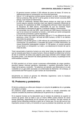 Genética Molecular    16
                                            CEM HIPATIA. BIOLOGÍA 2º BACHTO

   -   El genoma humano contiene 3 200 millones de pares de bases. El númro es
       relativamente bajo en comparación con el de otros genomas,
   -   Sólo el 1,5 % del genoma contiene genes (exones), es decir, información para
       fabricar proteínas. Más del 40 % de los genes no tiene función conocida (ADN
       basura, cuya función se desconoce)
   -   El ADN no codificante, llamado ADN basura porque se creyó que no tenia
       función alguna; estudios recientes creen que regula la expresión diferencial de
       los genes. En septiembre de 2008, investigadores afirmaron haber descubierto
       la secuencia de ADN basura, responsable de que los humanos hayan
       desarrollado la capacidad de agarrar o manipular objetos o herramientas.
   -   Un porcentaje muy alto del ADN está formado por ADN basura (intrones) del
       que no se conoce con exactitud su función, y otro tanto por ciento corresponde
       a secuencias promotoras y genes reguladores..
   -   Es casi el mismo para todas las personas. Solo el 0,1 % nos diferencia de unas
       personas a otras. (Es decir, del total del ADN humano, el 99,8 % es idéntico
       para todas las personas).
   -   Contiene unos 25 000 genes ( 3 200 millones de nucleótidos) localizados en 24
       cromosomas, 22 autosomas y 2 sexuales del núcleo y el ADN mitocondria, (la
       mosca Drosophila melanogaster contiene 13 700 genes), un número parecido
       al que tienen un chimpancé o un ratón, y se desconoce la función de casi la
       mitad de ellos.

Tener secuenciado el genoma humano es como tener todas las páginas del manual
que se necesita para hacer el cuerpo humano. Ahora el desafío es determinar la forma
de leer el contenido de todas esas páginas para luego entender cómo trabajan todas
las partes juntas, y así descubrir las bases genéticas de la salud y la patología de las
enfermedades humanas.


El PGH permitirá en el futuro vencer numerosas enfermedades de origen genético,
permitirá obtener informes genéticos individuales y aportará información sobre el
origen de los genes y evolución. Ya sabemos, por ejemplo, que diferencias en un solo
nucleótido en un gen están asociadas a la enfermedad de Alzheimer. Sin embargo, el
conocimiento del PGH supone un gran número de inconvenientes.


Actualmente se conoce el genoma de diferentes organismos: como la levadura
Sacharomices cerevisae, E. coli, etc.

10. Proteoma y proteómica

El término proteoma se utiliza para designar un conjunto de proteínas de un genoma,
una célula o un tejido.
De proteoma surgió proteómica, disciplina que realiza un estudio sistemático del
conjunto completo de proteínas codificadas por el genoma de un organismo.

En la especie humana se ha descubierto que el número de proteínas es superior al
número de genes. Esto se debe a que un mismo ARNm puede madurar de varias
formas diferentes, dependiendo de los intrones que se eliminen. De esta manera se
pueden formar diferentes proteínas a partir de un mismo gen. Es por ello que es muy
importante conocer el sitio y el momento en que se producen las proteínas, así como




                              Biología 2º Bachto. Profesor: Miguel Ángel Madrid Rangel
 