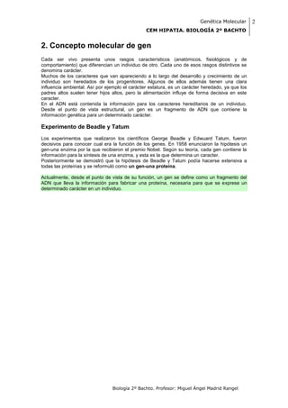 Genética Molecular       2
                                                CEM HIPATIA. BIOLOGÍA 2º BACHTO


2. Concepto molecular de gen
Cada ser vivo presenta unos rasgos característicos (anatómicos, fisiológicos y de
comportamiento) que diferencian un individuo de otro. Cada uno de esos rasgos distintivos se
denomina carácter.
Muchos de los caracteres que van apareciendo a lo largo del desarrollo y crecimiento de un
individuo son heredados de los progenitores. Algunos de ellos además tienen una clara
influencia ambiental. Así por ejemplo el carácter estatura, es un carácter heredado, ya que los
padres altos suelen tener hijos altos, pero la alimentación influye de forma decisiva en este
caracter.
En el ADN está contenida la información para los caracteres hereditarios de un individuo.
Desde el punto de vista estructural, un gen es un fragmento de ADN que contiene la
información genética para un determinado carácter.

Experimento de Beadle y Tatum
Los experimentos que realizaron los científicos George Beadle y Edwuard Tatum, fueron
decisivos para conocer cual era la función de los genes. En 1958 enunciaron la hipótesis un
gen-una enzima por la que recibieron el premio Nobel. Según su teoría, cada gen contiene la
información para la síntesis de una enzima, y esta es la que determina un caracter.
Posteriormente se demostró que la hipótesis de Beadle y Tatum podía hacerse extensiva a
todas las proteínas y se reformuló como un gen-una proteína.

Actualmente, desde el punto de vista de su función, un gen se define como un fragmento del
ADN que lleva la información para fabricar una proteína, necesaria para que se exprese un
determinado carácter en un individuo.




                                Biología 2º Bachto. Profesor: Miguel Ángel Madrid Rangel
 
