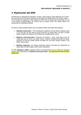 Genética Molecular       3
                                                 CEM HIPATIA. BIOLOGÍA 2º BACHTO


3. Replicación del ADN
El ADN tiene la capacidad de replicarse, es decir, puede realizar copias idénticas de sí mismo.
Esto permite que la información genética se transmita a las células hijas en la división celular.
En el proceso de duplicación, cada cadena de ADN sirve de molde para la formación de una
nueva cadena complementaria, de manera que se pueden formar dos dobles hélices con
secuencias de núcleotidos distintos.


Se dieron muchas hipótesis sobre como se duplica el ADN, entre ellas cabe destacar:

       Hipótesis conservativa: Tras la duplicación quedarían, las dos hebras antiguas juntas
        y, por otro lado, las dos hebras nuevas formando una doble hélice. (es decir, la doble
        cadena original se mantiene y se sintetiza otra completamente nueva).

       Hipótesis semiconservativa: Propuesta por Watson y Crick. Cada hebra sirve de
        molde para que se forme una hebra nueva, mediante complementariedad de bases,
        quedando al final dos dobles hélices formadas por una hebra antigua (molde) y una
        hebra nueva (copia).

       Hipótesis dispersiva. Las hebras resultantes estarían formadas por fragmentos en
        doble hélice de ADN antiguo y ADN recién sintetizados.

En 1957, Meselson y Sthal, mediante cultivos con Escherichia coli en un medio con nitrógeno
pesado (N15) demostraron la hipótesis semiconservativa. (ver experimento en libro de texto,
página 257)




                                 Biología 2º Bachto. Profesor: Miguel Ángel Madrid Rangel
 