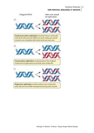 Genética Molecular   4
              CEM HIPATIA. BIOLOGÍA 2º BACHTO




Biología 2º Bachto. Profesor: Miguel Ángel Madrid Rangel
 