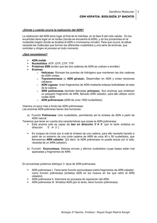 Genética Molecular      5
                                                   CEM HIPATIA. BIOLOGÍA 2º BACHTO




¿Dónde y cuándo ocurre la replicación del ADN?

La replicación del ADN tiene lugar al final de la interfase, en la fase S del ciclo celular. En los
eucariotas tiene lugar en el núcleo (donde se encuentra el ADN), y en los procariotas en el
nucleoide (región donde se localiza el ADN o cromosoma circular). Para que ocurra, la célula
necesita las moléculas que forman los diferentes nucleótidos y una serie de enzimas, que
controlan y dirigen el proceso en todo momento.

¿Qué necesitamos?

       ADN molde
       Nucleótidos: ATP, GTP, CTP, TTP
       Proteínas SSB (evitan que las dos cadenas de ADN se vuelvan a enrollar)
       Enzimas:
           o Helicasas: Rompen los puentes de hidrógeno que mantienen las dos cadenas
               de ADN unidas.
           o Topoisomerasas (o ADN girasas). Desenrollan en ADN y evitan tensiones
               celulares.
           o ADN Ligasas: Unen fragmentos de ADN mediante enlaces fosfodiéster al resto
               de la cadena.
           o ARN polimerasas (también llamadas primasas). Son enzimas que sintetizan
               un pequeño fragmento de ARN, llamado ARN cebador, para ello utilizan como
               molde ADN.
           o ADN polimerasas (ADN de unos 1000 nucleótidos).

Veamos un poco más a fondo las ADN polimerasas:
Las enzimas ADN polimeras tienen dos funciones:

   a) Función Polimerasa: Une nucleótidos, permitiendo así la síntesis de ADN a partir de
      ADN natural.
Tenemos que tener en cuenta dos características que posee la ADN polimerasa:
    Esta enzima solo es capaz de leer en dirección 3´ 5´ (por lo tanto sintetiza en
      dirección    5’  3’ ).

       Es incapaz de iniciar por si sola la síntesis de una cadena, para ello necesita hacerlo a
        partir de un extremo de una corta cadena de ARN de unos 40 o 50 nucleótidos, que
        llamaremos ARN cebador. (Es decir, la ADN polimerasa no puede actuar por si sola,
        necesita de un ARN cebador).

    b) Función Exonucleasa. Detecta errores y elimina nucleótidos cuyas bases están mal
       apareadas y fragmentos de ARN.



En procariotas podemos distinguir 3 tipos de ADN polimerasa:

       ADN polimerasa I. Tiene tanto función exonucleasa (retira fragmentos de ARN cebador,
        como función polimerasa (sintetiza ADN en los huecos en los que retiró el ARN
        cebador).
       ADN polimerasa II. Interviene en procesos de reparación del ADN
       ADN polimerasa III. Sintetiza ADN (por lo tanto, tiene función polimerasa).




                                   Biología 2º Bachto. Profesor: Miguel Ángel Madrid Rangel
 