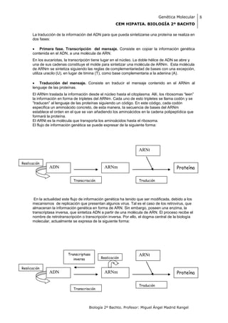 Genética Molecular      8
                                                       CEM HIPATIA. BIOLOGÍA 2º BACHTO

      La traducción de la información del ADN para que pueda sintetizarse una proteína se realiza en
      dos fases:

       Primera fase. Transcripción del mensaje. Consiste en copiar la información genética
      contenida en el ADN, a una molécula de ARN.
      En los eucariotas, la transcripción tiene lugar en el núcleo. La doble hélice de ADN se abre y
      una de sus cadenas constituye el molde para sintetizar una molécula de ARNm. Esta molécula
      de ARNm se sintetiza siguiendo las reglas de complementariedad de bases con una excepción,
      utiliza uracilo (U), en lugar de timina (T), como base complementaria a la adenina (A).

       Traducción del mensaje. Consiste en traducir el mensaje contenido en el ARNm al
      lenguaje de las proteínas.
      El ARNm traslada la información desde el núcleo hasta el citoplasma. Allí, los ribosomas “leen”
      la información en forma de tripletes del ARNm. Cada uno de esto tripletes se llama codón y se
      ”traducen” al lenguaje de las proteínas siguiendo un código. En este código, cada codón
      especifica un aminoácido concreto, de esta manera, la secuencia de bases del ARNm
      establece el orden en el que se van añadiendo los aminoácidos en la cadena polipeptídica que
      formará la proteína.
      El ARNt es la molécula que transporta los aminoácidos hasta el ribosoma.
      El flujo de información genética se puede expresar de la siguiente forma:




                                                                    ARNt

Replicación
               ADN                              ARNm                                       Proteína

                              Transcripción                         Tradución




       En la actualidad este flujo de información genética ha tenido que ser modificada, debido a los
      mecanismos de replicación que presentan algunos virus. Tal es el caso de los retrovirus, que
      almacenan la información genética en forma de ARN. Sin embargo, poseen una enzima, la
      transcriptasa inversa, que sintetiza ADN a partir de una molécula de ARN. El proceso recibe el
      nombre de retrotranscripción o transcripción inversa. Por ello, el dogma central de la biología
      molecular, actualmente se expresa de la siguiente forma:




                          Transcriptasa                             ARNt
                             inversa          Replicación


Replicación
               ADN                              ARNm                                       Proteína

                                                                    Tradución
                              Transcripción




                                       Biología 2º Bachto. Profesor: Miguel Ángel Madrid Rangel
 