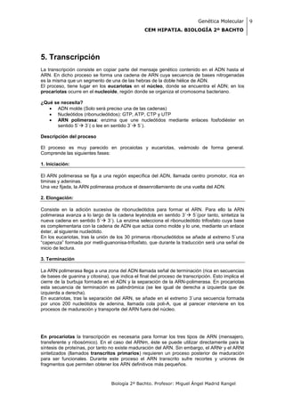 Genética Molecular        9
                                                 CEM HIPATIA. BIOLOGÍA 2º BACHTO




5. Transcripción
La transcripción consiste en copiar parte del mensaje genético contenido en el ADN hasta el
ARN. En dicho proceso se forma una cadena de ARN cuya secuencia de bases nitrogenadas
es la misma que un segmento de una de las hebras de la doble hélice de ADN.
El proceso, tiene lugar en los eucariotas en el núcleo, donde se encuentra el ADN; en los
procariotas ocurre en el nucleoide, región donde se organiza el cromosoma bacteriano.

¿Qué se necesita?
    ADN molde (Solo será preciso una de las cadenas)
    Nucleótidos (ribonucleótidos): GTP, ATP, CTP y UTP
    ARN polimerasa: enzima que une nucleótidos mediante enlaces fosfodiéster en
      sentido 5` 3`( o lee en sentido 3` 5`).

Descripción del proceso

El proceso es muy parecido en procaiotas y eucariotas, veámoslo de forma general.
Comprende las siguientes fases:

1. Iniciación:

El ARN polimerasa se fija a una región específica del ADN, llamada centro promotor, rica en
timinas y adeninas.
Una vez fijada, la ARN polimerasa produce el desenrollamiento de una vuelta del ADN.

2. Elongación:

Consiste en la adición sucesiva de ribonucleótidos para formar el ARN. Para ello la ARN
polimerasa avanza a lo largo de la cadena leyéndola en sentido 3` 5`(por tanto, sintetiza la
nueva cadena en sentido 5` 3`). La enzima selecciona el ribonucleótido trifosfato cuya base
es complementaria con la cadena de ADN que actúa como molde y lo une, mediante un enlace
éster, al siguiente nucleótido.
En los eucariotas, tras la unión de los 30 primeros ribonucleótidos se añade al extremo 5`una
“caperuza” formada por metil-guanonisa-trifosfato, que durante la traducción será una señal de
inicio de lectura.

3. Terminación

La ARN polimerasa llega a una zona del ADN llamada señal de terminación (rica en secuencias
de bases de guanina y citosina), que indica el final del proceso de transcripción. Esto implica el
cierre de la burbuja formada en el ADN y la separación de la ARN-polimerasa. En procariotas
esta secuencia de terminación es palindrómica (se lee igual de derecha a izquierda que de
izquierda a derecha).
En eucariotas, tras la separación del ARN, se añade en el extremo 3`una secuencia formada
por unos 200 nucleótidos de adenina, llamada cola poli-A, que al parecer interviene en los
procesos de maduración y transporte del ARN fuera del núcleo.




En procariotas la transcripción es necesaria para formar los tres tipos de ARN (mensajero,
transferente y ribosómico). En el caso del ARNm, éste se puede utilizar directamente para la
síntesis de proteínas, por tanto no existe maduración del ARN. Sin embargo, el ARNr y el ARNt
sintetizados (llamados transcritos primarios) requieren un proceso posterior de maduración
para ser funcionales. Durante este proceso el ARN transcrito sufre recortes y uniones de
fragmentos que permiten obtener los ARN definitivos más pequeños.



                                  Biología 2º Bachto. Profesor: Miguel Ángel Madrid Rangel
 