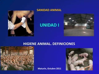 SANIDAD ANIMAL



        UNIDAD I


HIGIENE ANIMAL. DEFINICIONES




       Maturín, Octubre 2011
 