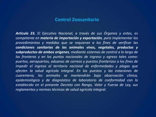 Control Zoosanitario

Artículo 23. El Ejecutivo Nacional, a través de sus Órganos y entes, es
competente en materia de importación y exportación, para implementar los
procedimientos y medidas que se requieran a los fines de verificar las
condiciones sanitarias de los animales vivos, vegetales, productos y
subproductos de ambos orígenes, mediante sistemas de control a lo largo de
las fronteras y en los puntos nacionales de ingreso y egreso tales como:
puertos, aeropuertos, aduanas de correos y puestos fronterizos a los fines de
impedir el ingreso al territorio nacional de enfermedades y plagas que
afecten la salud agrícola integral. En los puestos y las estaciones de
cuarentena, los animales se mantendrán bajo observación clínica,
epidemiológica y de diagnóstico de laboratorio de conformidad con lo
establecido en el presente Decreto con Rango, Valor y Fuerza de Ley, sus
reglamentos y normas técnicas de salud agrícola integral.
 