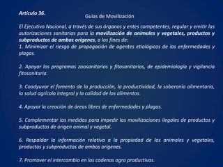 Artículo 36.
                             Guías de Movilización
El Ejecutivo Nacional, a través de sus órganos y entes competentes, regular y emitir las
autorizaciones sanitarias para la movilización de animales y vegetales, productos y
subproductos de ambos orígenes, a los fines de:
1. Minimizar el riesgo de propagación de agentes etiológicos de las enfermedades y
plagas.

2. Apoyar los programas zoosanitarios y fitosanitarios, de epidemiología y vigilancia
fitosanitaria.

3. Coadyuvar el fomento de la producción, la productividad, la soberanía alimentaria,
la salud agrícola integral y la calidad de los alimentos.

4. Apoyar la creación de áreas libres de enfermedades y plagas.

5. Complementar las medidas para impedir las movilizaciones ilegales de productos y
subproductos de origen animal y vegetal.

6. Respaldar la información relativa a la propiedad de los animales y vegetales,
productos y subproductos de ambos orígenes.

7. Promover el intercambio en las cadenas agro productivas.
 