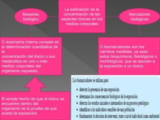 La estimación de la
concentración de las
especies tóxicas en los
medios corporales
Muestreo
biológico
Marcadores
biológicos
O dosimetría interna consiste en
la determinación cuantitativa de
la
concentración del tóxico o sus
metabolitos en uno o más
medios corporales del
organismo expuesto.
O biomarcadores son los
cambios medibles, ya sean
estos bioquímicos, fisiológicos o
morfológicos, que se asocian a
la exposición a un tóxico
El simple hecho de que el tóxico se
encuentre dentro del
organismo es la prueba de que
existió la exposición
 
