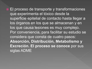  El proceso de transporte y transformaciones
que experimenta el tóxico desde la
superficie epitelial de contacto hasta llegar a
los órganos en los que se almacenan y en
los que causa lesiones es muy complejo.
Por conveniencia, para facilitar su estudio se
considera que consta de cuatro pasos:
Absorción, Distribución, Metabolismo y
Excreción. El proceso se conoce por sus
siglas ADME
 