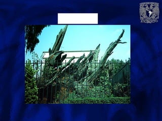 Árbol de la Noche
      Triste
 