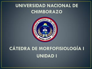 UNIVERSIDAD NACIONAL DE
CHIMBORAZO
CÁTEDRA DE MORFOFISIOLOGÍA I
UNIDAD I
 