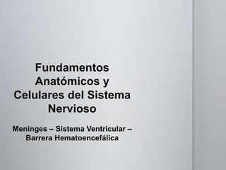 Meninges – Sistema Ventricular –
Barrera Hematoencefálica
 