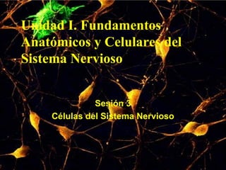 Unidad I. Fundamentos
Anatómicos y Celulares del
Sistema Nervioso
Sesión 3
Células del Sistema Nervioso
 