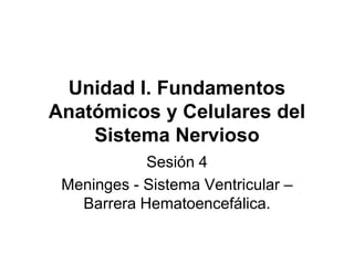 Unidad I. Fundamentos
Anatómicos y Celulares del
Sistema Nervioso
Sesión 4
Meninges - Sistema Ventricular –
Barrera Hematoencefálica.
 