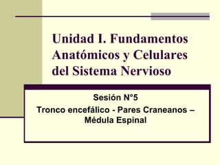 Unidad I. Fundamentos
Anatómicos y Celulares
del Sistema Nervioso
Sesión N°5
Tronco encefálico - Pares Craneanos –
Médula Espinal
 