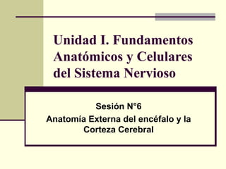Unidad I. Fundamentos
Anatómicos y Celulares
del Sistema Nervioso
Sesión N°6
Anatomía Externa del encéfalo y la
Corteza Cerebral
 