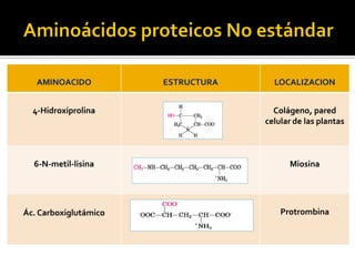 AMINOACIDO ESTRUCTURA LOCALIZACION
4-Hidroxiprolina Colágeno, pared
celular de las plantas
6-N-metil-lisina Miosina
Ác. Carboxiglutámico Protrombina
 