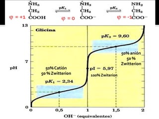 50%Catión
50 % Zwitterion 100% Zwiterion
50% anión
50 %
Zwitterion
 = +1  = 0  = -1
 
